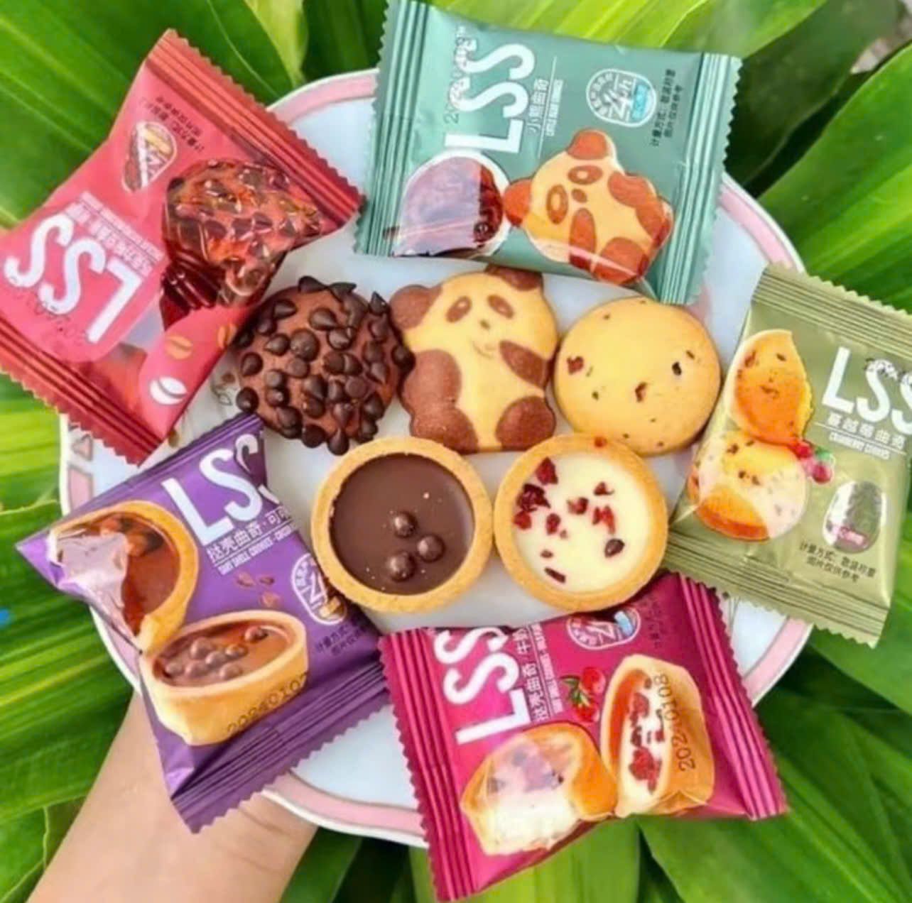 z7388855257919_5fb533aeb84ae5356215839959b647a7